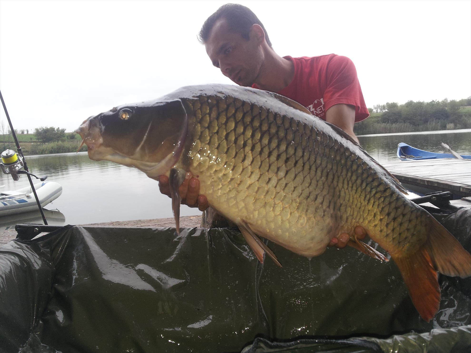 Tancabesti 31 august - 7 septembrie 2014 - 20140903182924.jpg